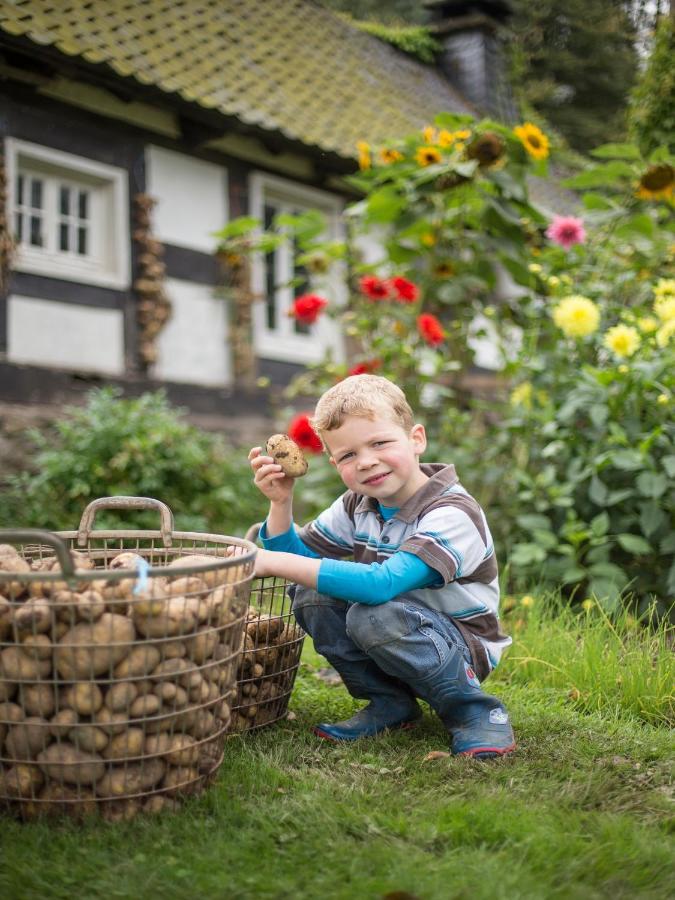 Ferienhof Richard Lennestadt Zewnętrze zdjęcie
