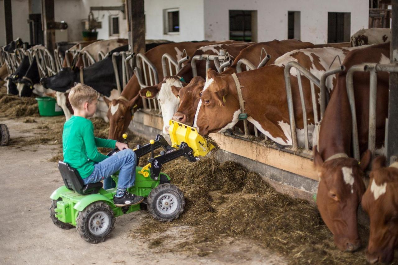 Ferienhof Richard Lennestadt Zewnętrze zdjęcie